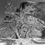 What type of photography is Ansel Adams most famous for?3