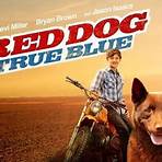 Red Dog True Blue4
