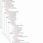 cavaquinho wikipedia e coli morphology elevation level in humans2