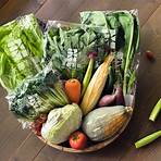 永齡蔬菜箱1