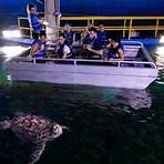 Sea Life Sydney Aquarium3