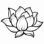 flor de lotus desenho3