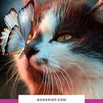 What are the different types of Cat Books?1
