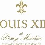 louis xiii cognac price 50ml bottle2