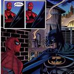 batman vs spiderman3