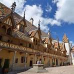 how many burgundy wines are there in beaune paso robles3