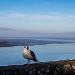 mont saint michel4