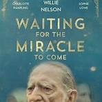Waiting for the Miracle to Come movie1