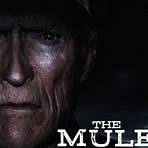 watch the mule online free clint eastwood3