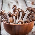 tipos de cogumelos comestíveis3