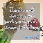 le petit prince frases4