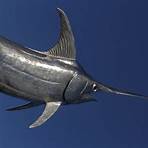 swordfish predator1