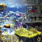 is the new england aquarium a must-see spot in boston tickets3