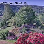 webcam la bresse1