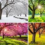Primavera, Verão, Outono, Inverno... e Primavera2