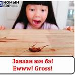 mongolian language phrases list printable word2