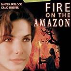 Fire on the Amazon2