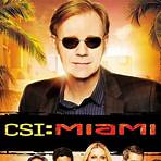 CSI: Miami Reviews4