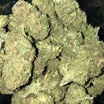 mr nice weed strain side effects1
