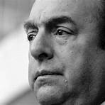 melhores obras de pablo neruda5