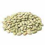 organic dried lima beans1