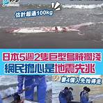 日本巨型地震魚1