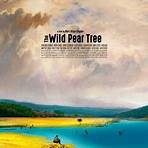 The Wild Pear Tree4