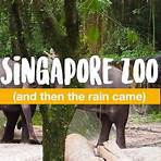 Singapore Zoo1