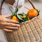 florida oranges online1