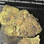 mr nice weed strain side effects3