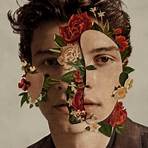 shawn mendes songs1