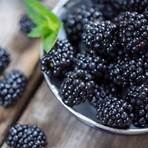 What if my blackberry is frozen or unresponsive?1