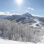 niigata japan ski4