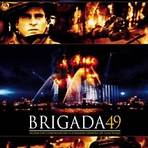 Brigada 493