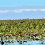 Master Gator Airboat Tours of Palm Beach County West Palm Beach, FL4