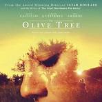 El Olivo – Der Olivenbaum1