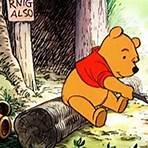 The Many Adventures of Winnie the Pooh2