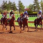 race track horse barns3
