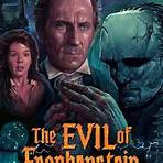 The Evil of Frankenstein1