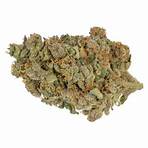 why are there no reviews for canadian strain schools4