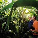 What Agronomy Services does pioneer offer?2