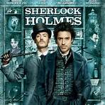 Sherlock Holmes: Spiel im Schatten2