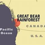Great Bear Rainforest: Land of the Spirit Bear película1