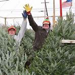 christmas tree farms cut your own3