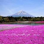lugares más visitados de japón4