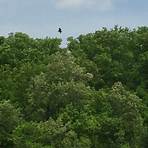 Crow's Nest Nature Preserve Fredericksburg, VA2