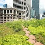 what year was the chicago city hall green roof installed near4