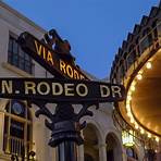 what does rodeo drive stand for the money in california open2