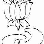 flor de lótus desenho1