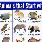What animals are in the zoo?2